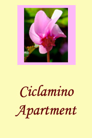 ciclamino apartment